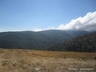 Lago Trearie